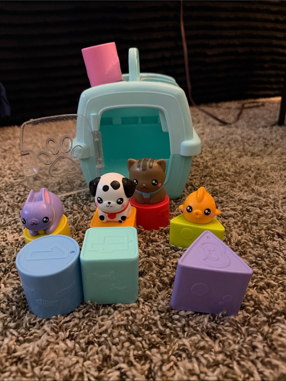Fisher Price Pet Carrier Shape Sorter